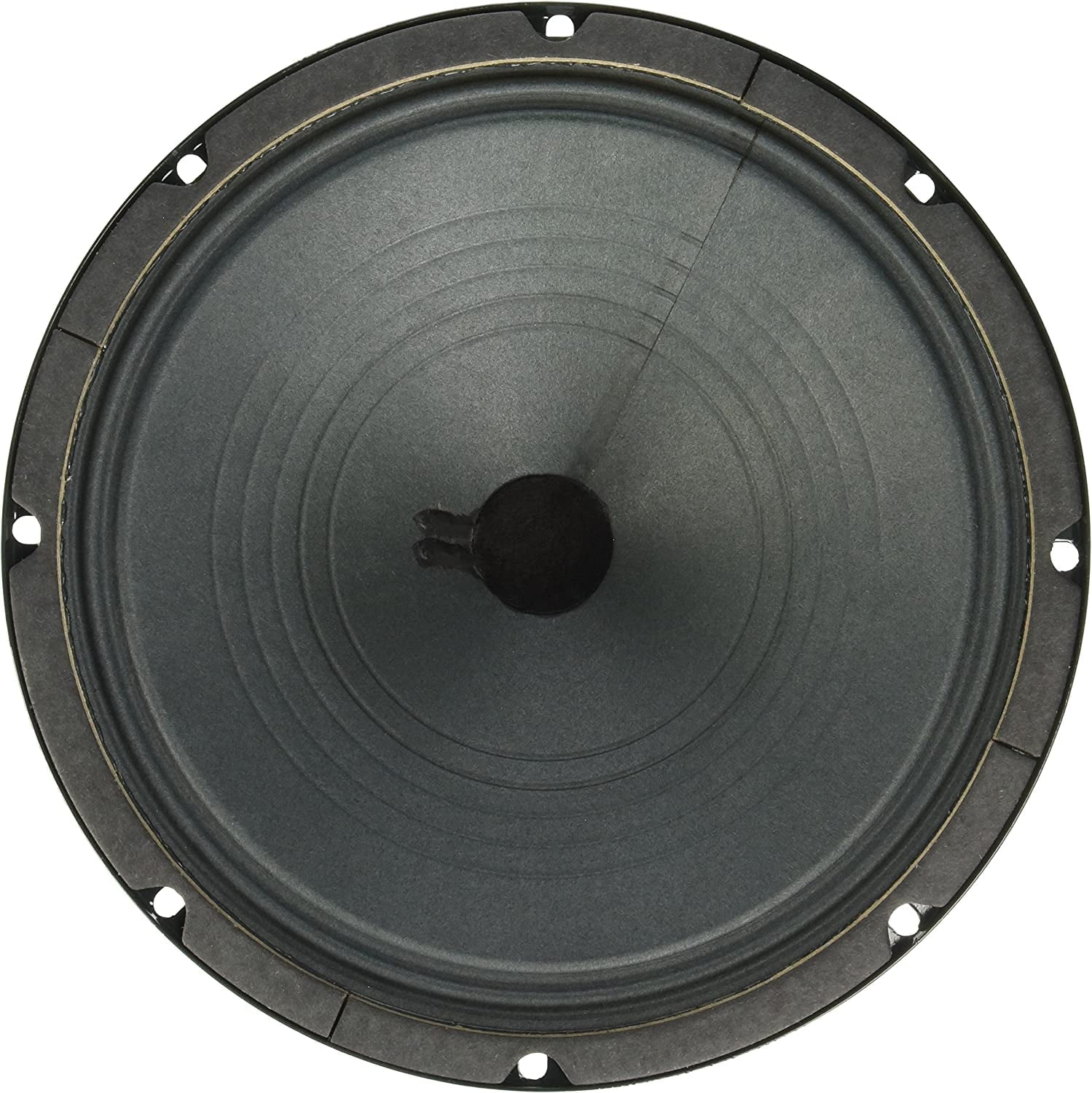 Jensen Speaker, Green, 10-Inch (P10R4) 10-Inch 4 ohm